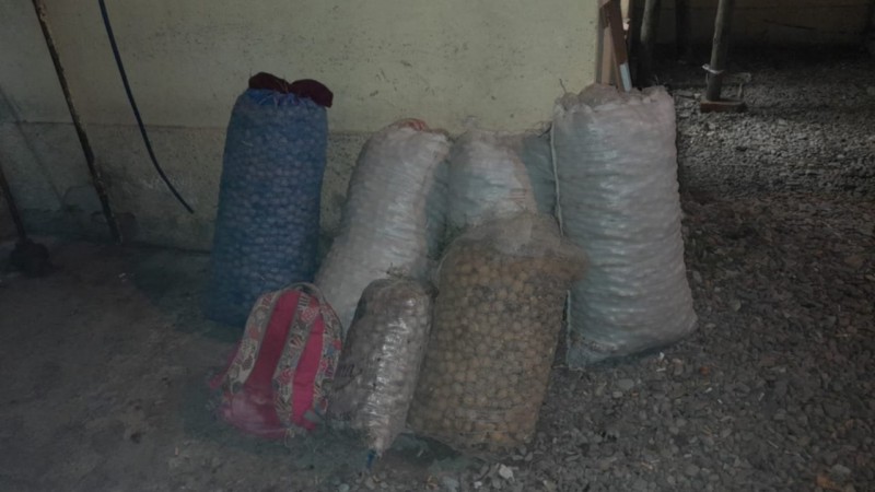La Policía logró recuperar 200 kilos de nueces sustraídas en Tupungato